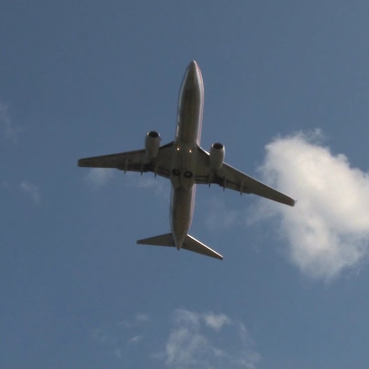 Airplane!